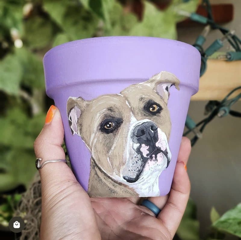 Hand-painted tan and white pit bull on a light purple lavender clay pot